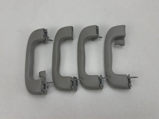 2012-2020 Chevrolet Sonic Roof Rail Assist Grab Handles Set OEM