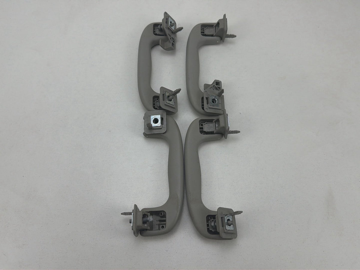 2012-2020 Chevrolet Sonic Roof Rail Assist Grab Handles Set OEM